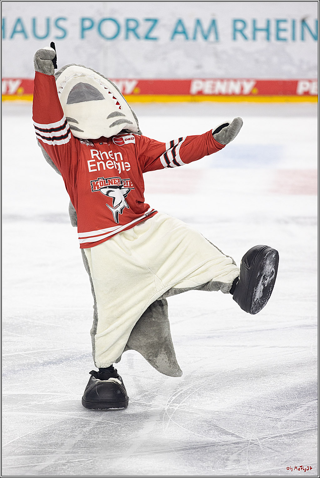 PENNY DEL;  Kölner Haie - Düsseldorfer EG; Köln, 16.12.2022